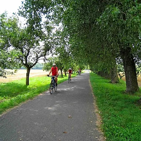 Lazensky Park Poděbrady