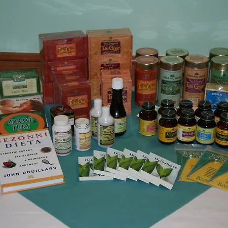 Hotel Lazensky Park 4*