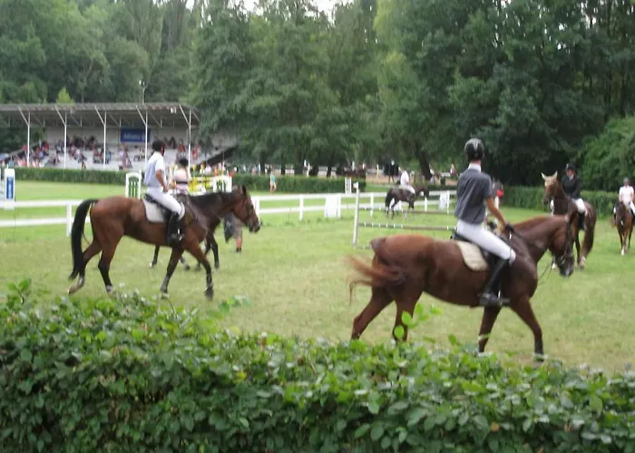 Lazensky Park Podiebrady